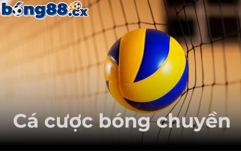 Cá cược bóng chuyền tại BONG88 là gì?