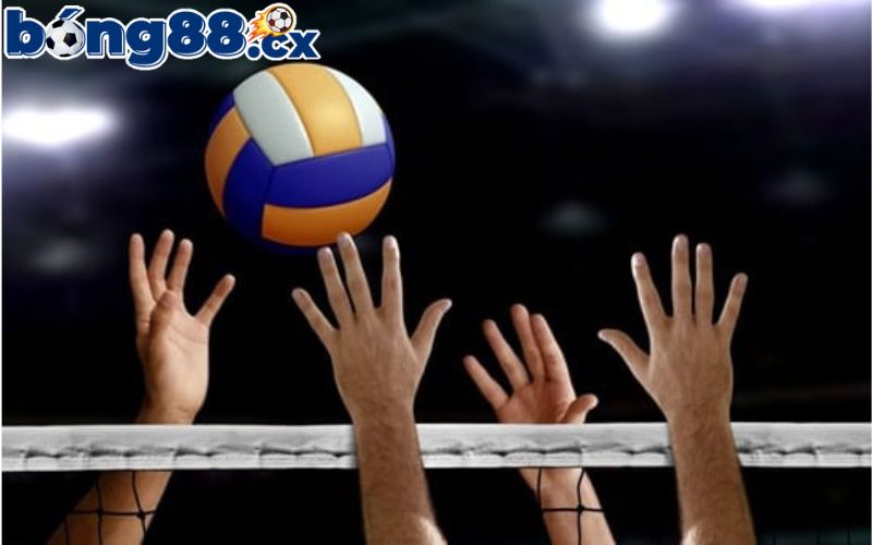 Cá cược bóng chuyền với những mẹo hữu ích