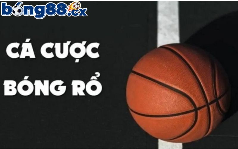 Cá cược bóng rổ là gì?