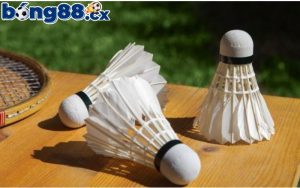 Hiểu rõ quy tắc cá cược cầu lông