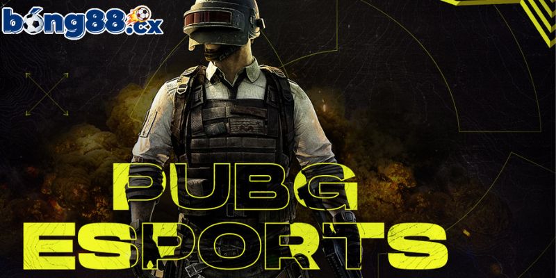 Những lưu ý quan trọng khi cá cược PUBG